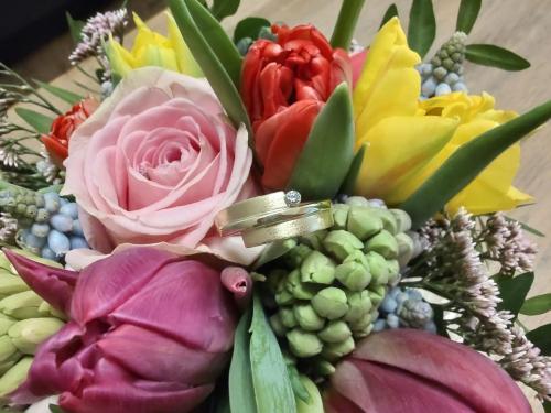 IMG 20230206 184321117 HDR