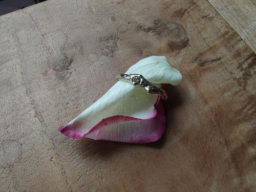 IMG 20230602 085615193