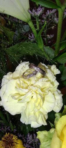 IMG 20230930 190404125 HDR